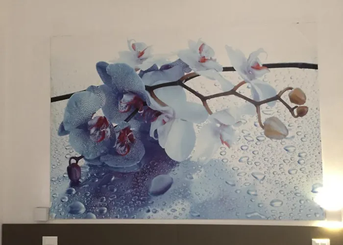 Affittacamere Mare Fuori Λα Σπέτσια