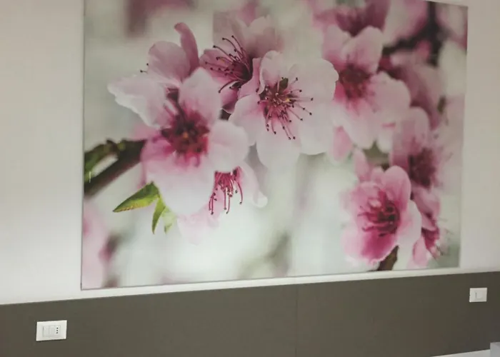 Affittacamere Mare Fuori La Spezia