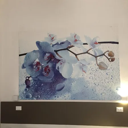 Affittacamere Mare Fuori La Spezia